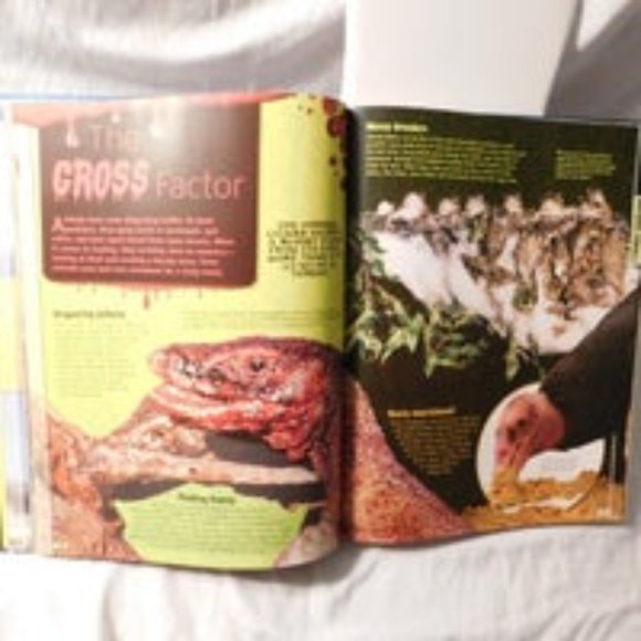 Discovery Channel Discover the Extreme World Book - Picture 6 of 9